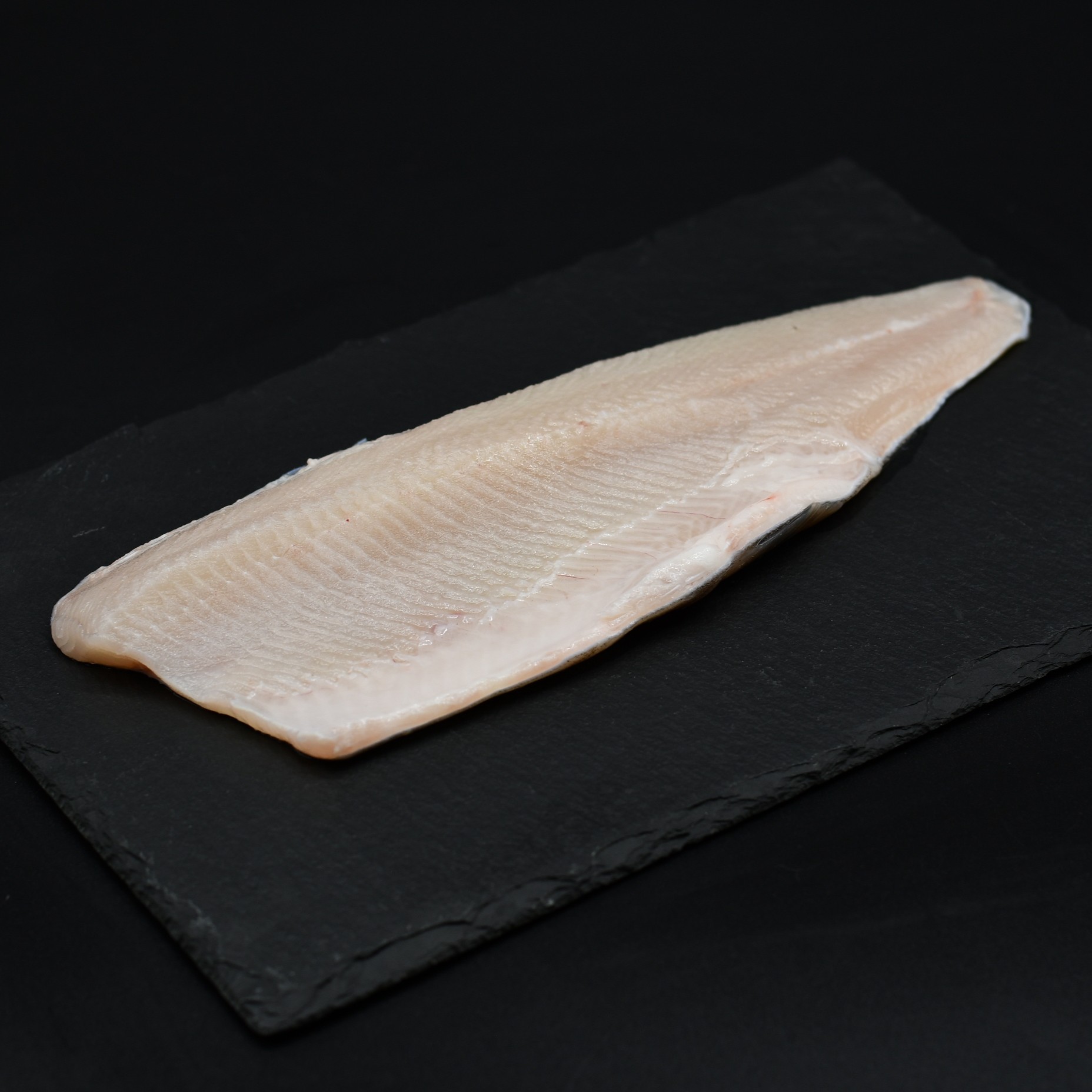 Seesaibling_filet